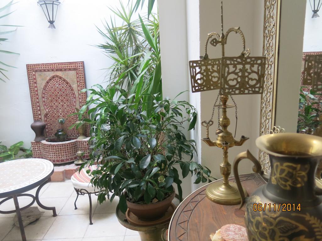 Hostal Fenix Χέρεζ Εξωτερικό φωτογραφία