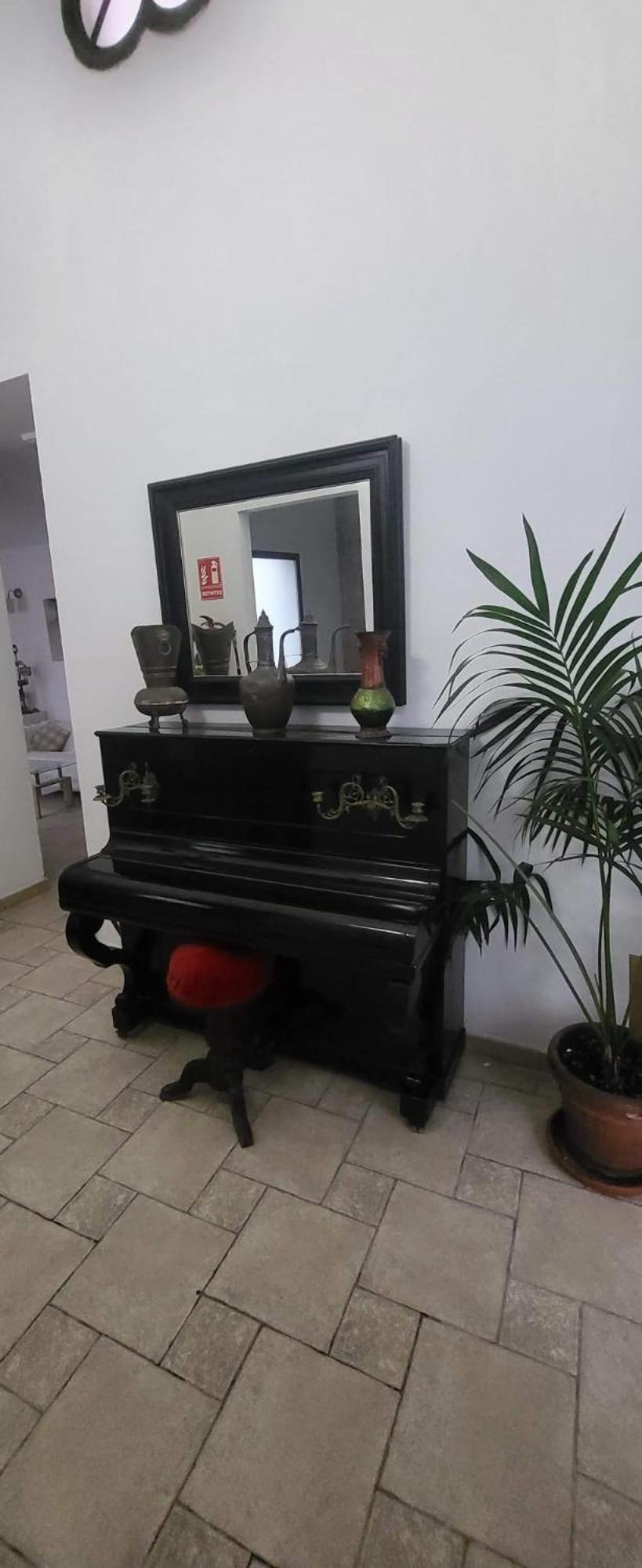 Hostal Fenix Χέρεζ Εξωτερικό φωτογραφία
