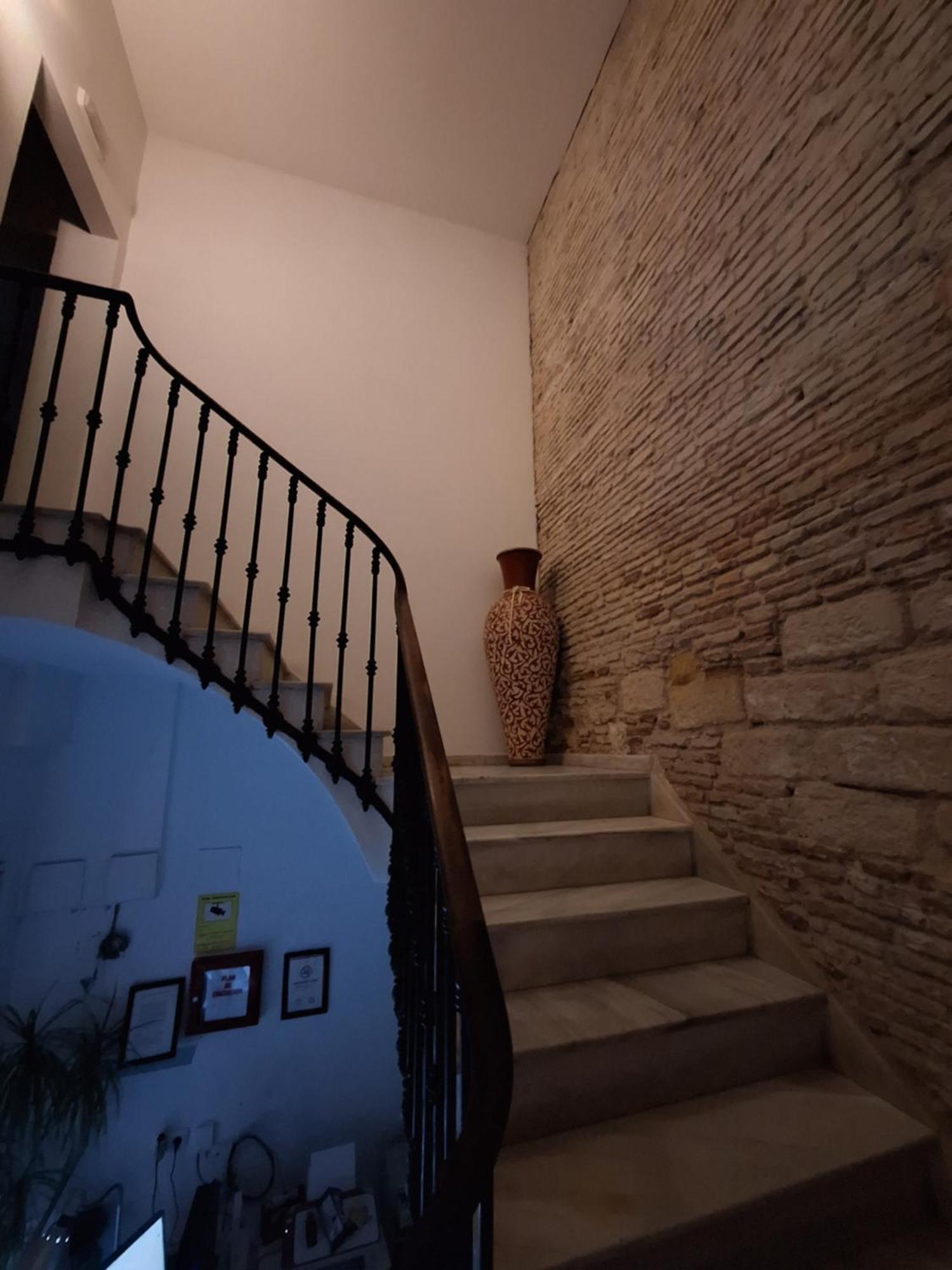 Hostal Fenix Χέρεζ Εξωτερικό φωτογραφία